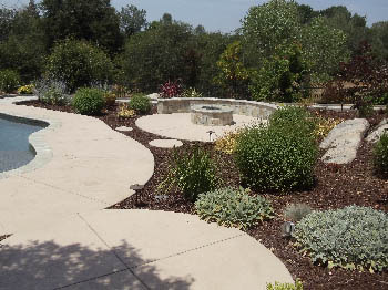 Low-maintenance xeriscape garden featuring native California drought-tolerant plants and bark mulch