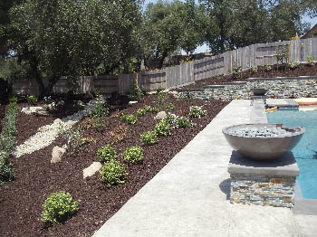 Low-maintenance xeriscape garden featuring native California drought-tolerant plants and bark mulch