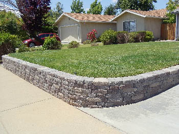 Freshly installed tall fescue sod lawn for a residential backyard in Elk Grove